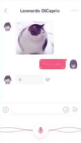 攻击视频网站软件程序维护界面